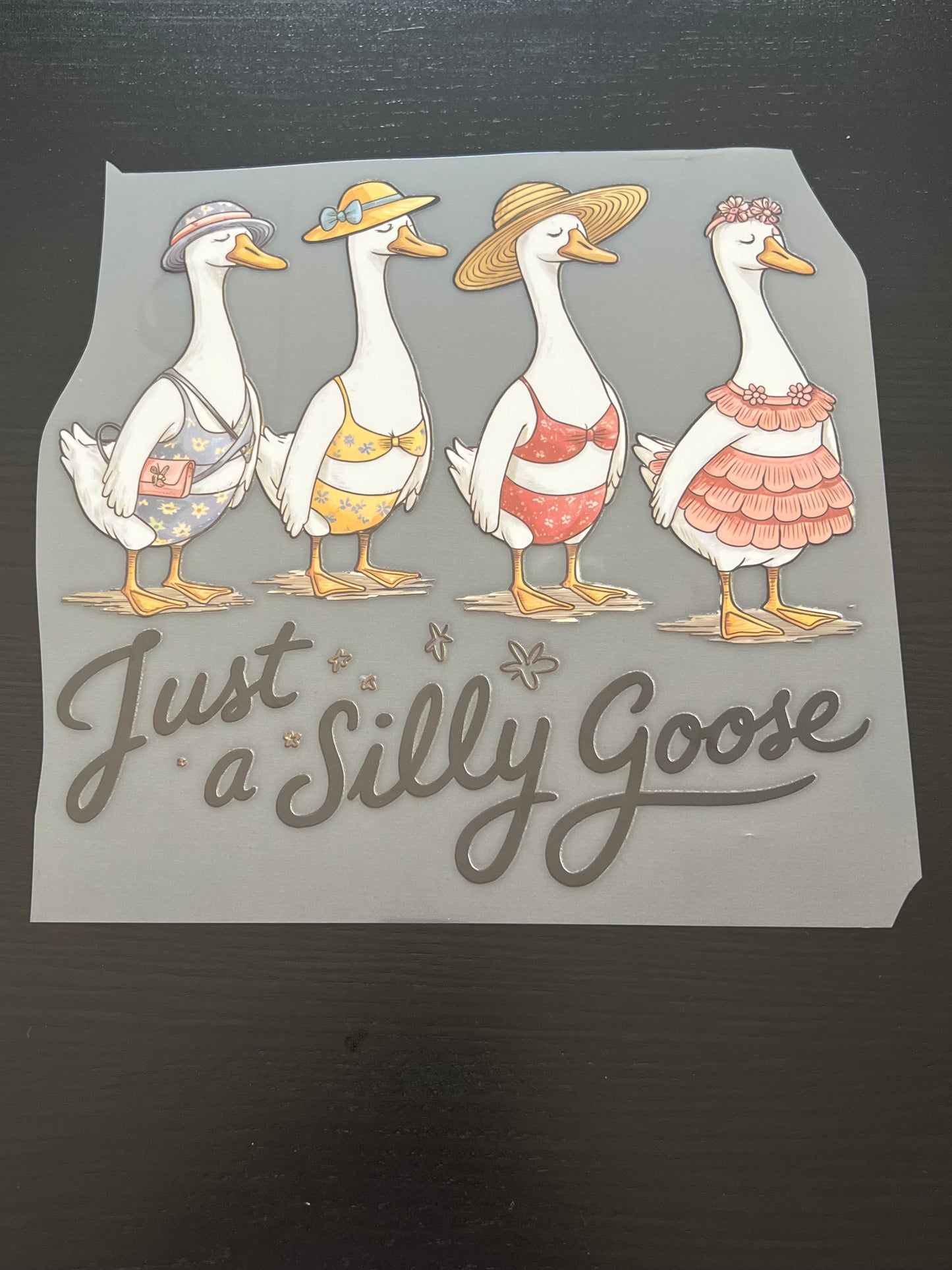 Just a Silly Goose Bikini's & Hats
