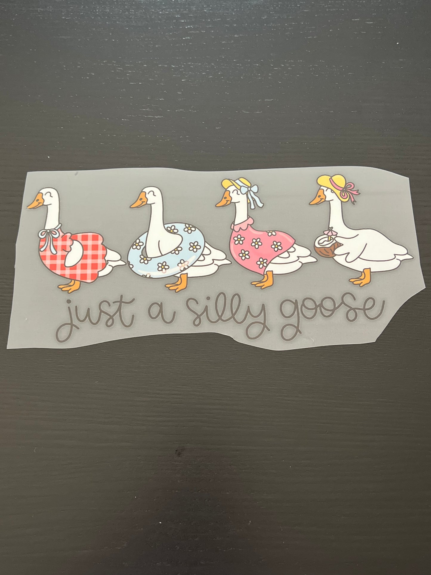 Just a Silly Goose Floaty & Drink