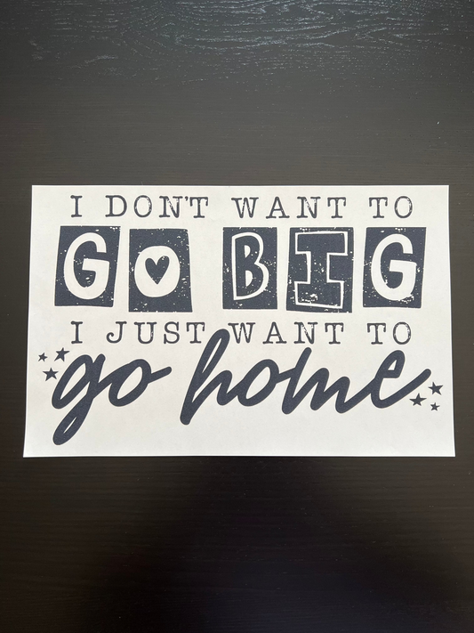I Don't Want to Go Big I Just Want to Go Home