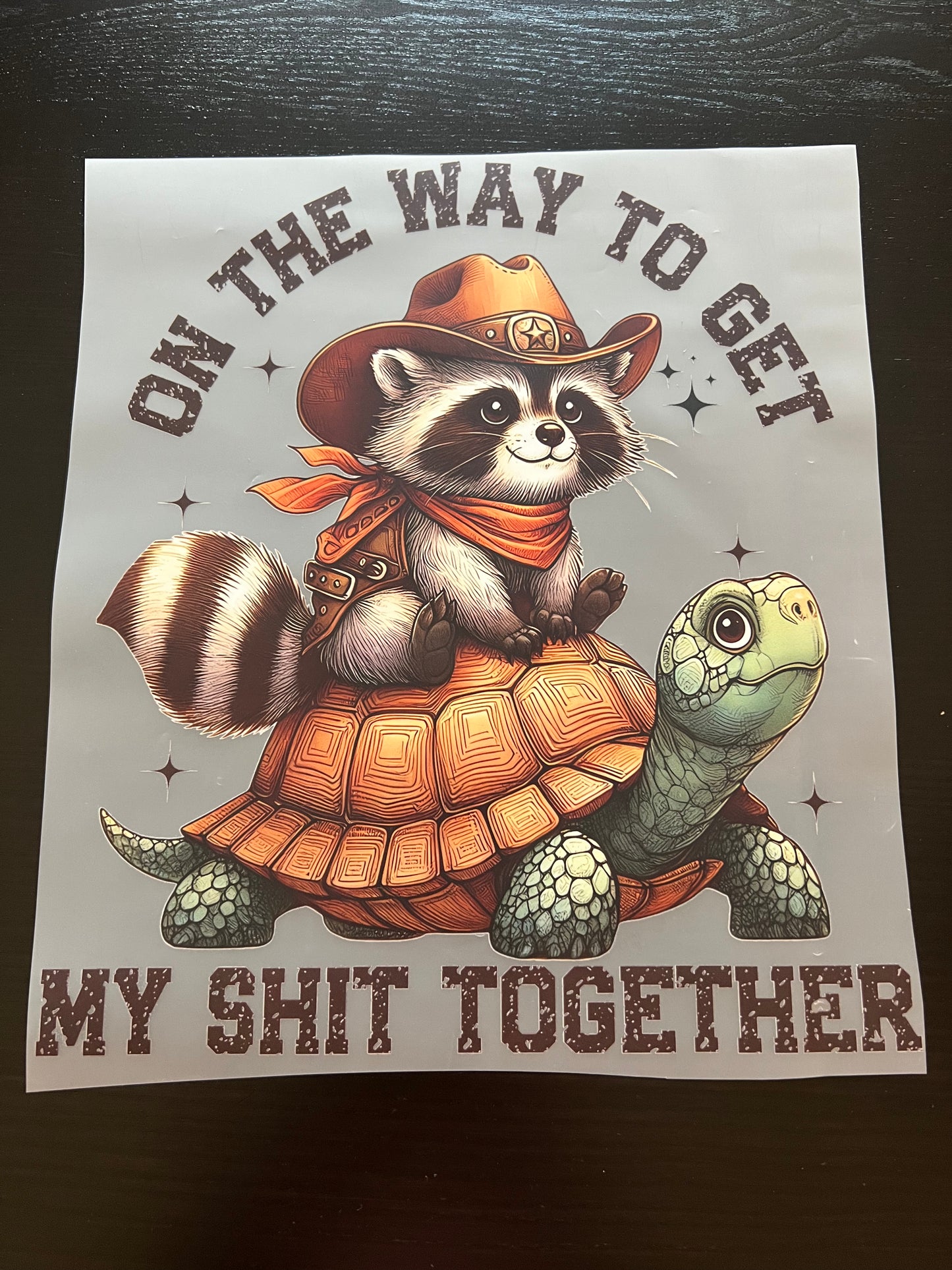 On the Way to Get My Sh*t Together Feral & Turtle